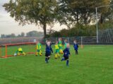 S.K.N.W.K. JO7-1 - Colijnsplaatse Boys JO7-1 (oefen) najaar seizoen 2022-2023 (49/103)